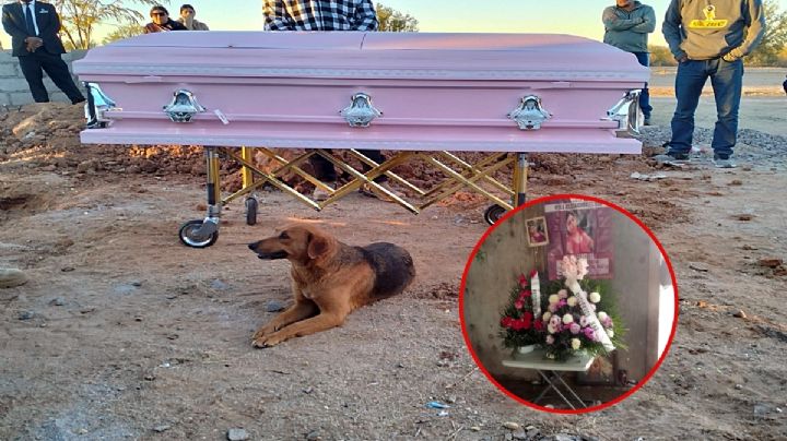 Perla fue hallada muerta después de dos años desaparecida, su perrita no se separó de su ataúd