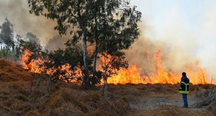 Incendios forestales prenden alerta en Edomex; van 218 en 2024