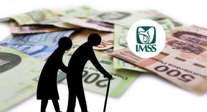 IMSS: Estos son los pensionados que recibirán más dinero en su pensión de abril 2024