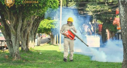 Ayuntamiento de Córdoba inicia campaña contra el dengue