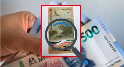 Así es el billete de 20 que se vende en 600,000 pesos; se parece al billete del ajolote