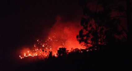 Oaxaca en llamas: Incendio forestal consume región Chontal, habitantes denuncian nulo apoyo