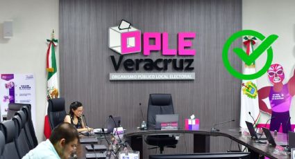 Aprueba OPLE 568 candidaturas de acciones afirmativas en Veracruz