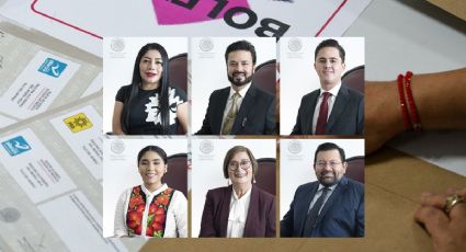 Los diputados "chapulines" del Congreso local de Veracruz