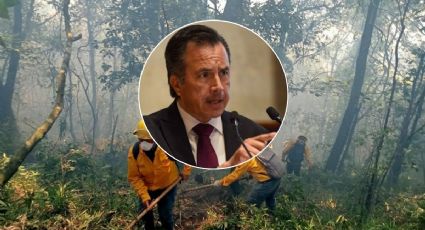 Empresarios de Veracruz envían carta a Cuitláhuac García por incendio forestal
