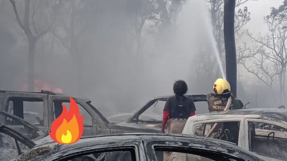 Se quemaron más de 300 autos