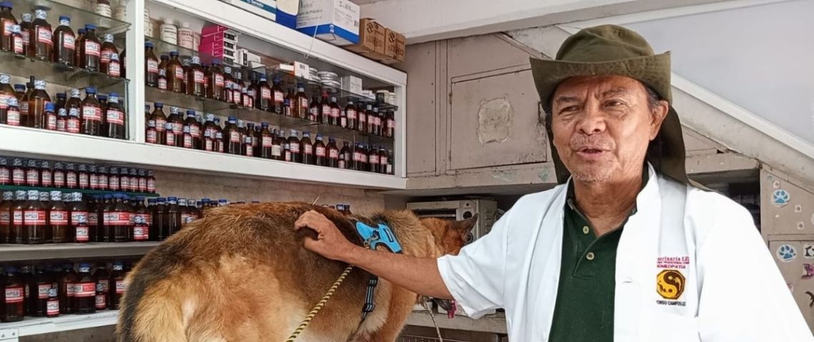 Dr. Campos Lee, con medicina tradicional china trata a mascotas en Veracruz