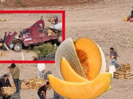 Autopista Arco Norte: Reportan actos de rapiña tras volcadura de tráiler con melones