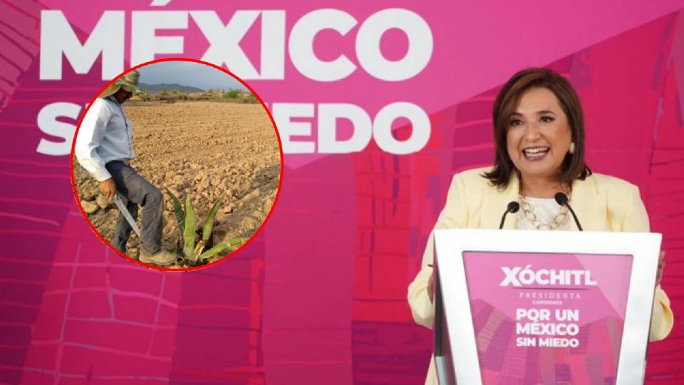 La aspirante a la presidencia de México, Xóchitl Gálvez, regresa a Guanajuato para reunirse con el sector ganadero y agrícola.