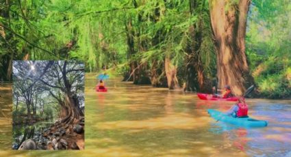 “Paseo de los Sabinos”: Un rincón de armonía con la naturaleza a menos de 3 horas de León