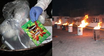 En Veracruz, FGR quema más de 200 kg de droga; había desde marihuana hasta peyote