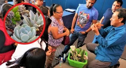 Deja de matar plantas, en Festival Hidalgo Verde habrán talleres para aprender a cuidarlas