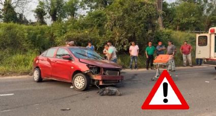 Accidente en el sur de Veracruz deja una mujer sin vida; hay dos personas lesionadas