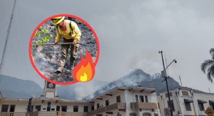 Estos son los 15 incendios forestales en Veracruz activos hoy lunes 13 de mayo
