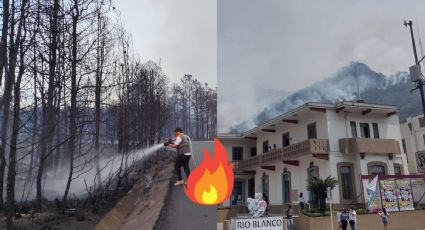 4 incendios forestales activos en Veracruz; esto reportan autoridades
