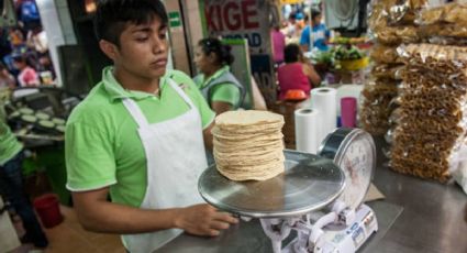 Tortillas piratas en México: Razones por las que 60% de las tortillerías no están reguladas
