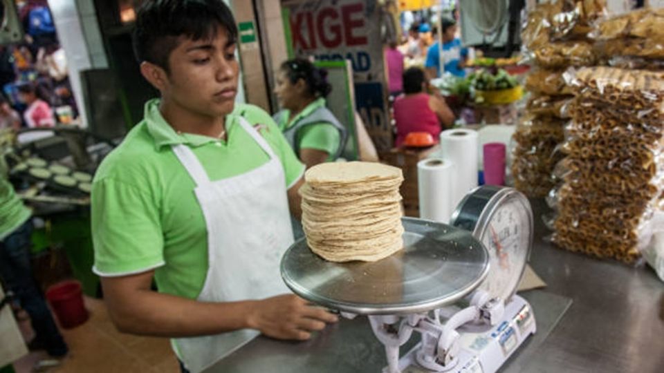 Tortillas piratas en México: Razones por las que 60% de las tortillerías no están reguladas