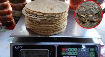 Precio de la tortilla podría subir en estos días; esto costaría en Guanajuato