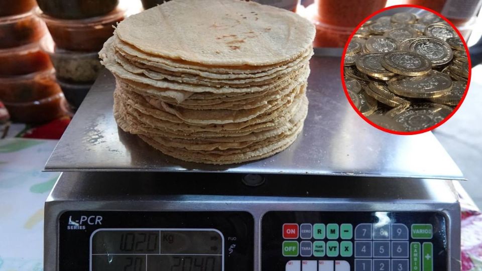 Precio de la tortilla ha aumentado 60.9% en este sexenio