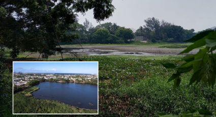 Vecinos de Veracruz se unen para rescatar Laguna de Lagartos; así luce seca con ola de calor