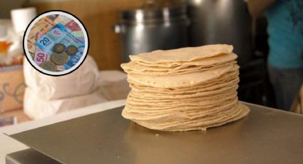 Precio del kilo de tortilla: calor, sequía y electricidad tienen qué ver