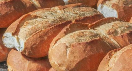 ¿Cómo devolverle la frescura a tus bolillos y panes duros? | TRUCO