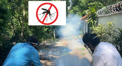 ¿Sabías que desde casa puedes evita el dengue, zika y chikungunya eliminando criaderos de mosco?