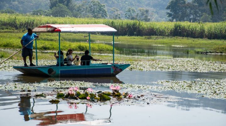 Córdoba te invita al encuentro con la naturaleza en la laguna “El Porvenir”