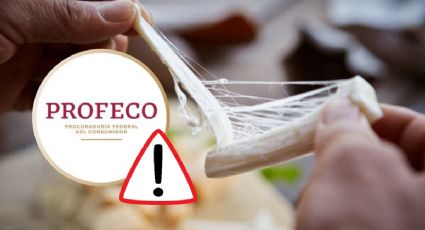 Queso Oaxaca que no es queso: Estas son las marcas que son "pirata" según Profeco