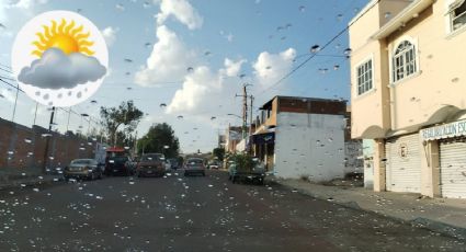 Clima en Guanajuato: Chubascos, calorón y tolvaneras este 25 de mayo