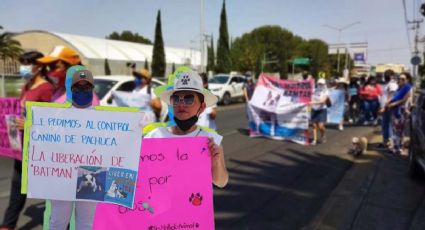 Convocan a marcha contra el maltrato animal en Pachuca, aquí día y ruta