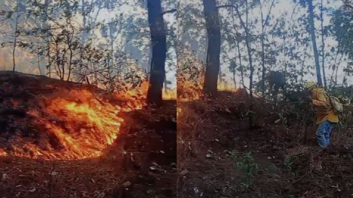 Van 3 incendios forestales en Tejupilco y Luvianos