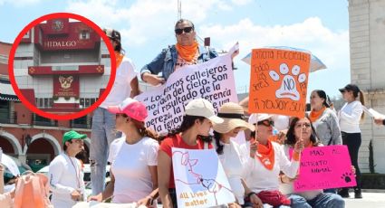 Contra maltrato animal, asociaciones entregaran pliego petitorio al gobernador de Hidalgo