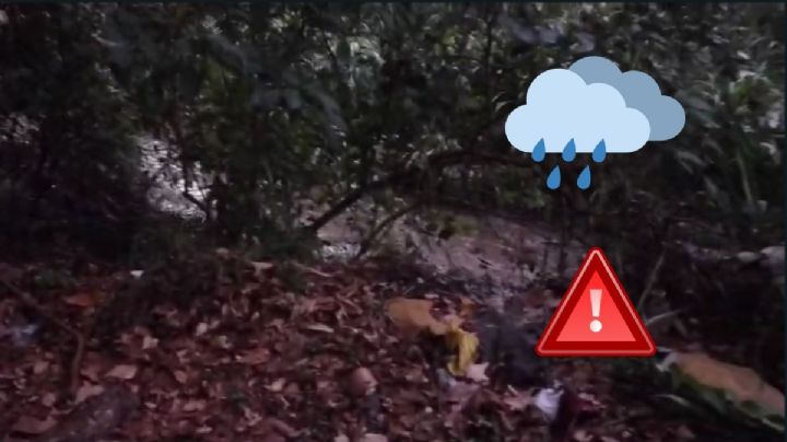 Barrancada en Nogales, tras fuertes lluvias en zona montañosa de Veracruz