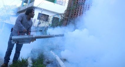 Dengue en México alcanza cifra récord; van 15,742 casos, 5 veces más que en 2023
