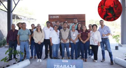 Así se apoyó a la producción de nochebuena para este año en La Estanzuela