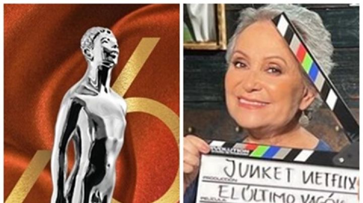 Premios Ariel 2024: ¿quiénes son los nominados? | LISTA