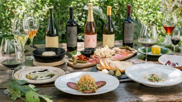 Vinos guanajuatenses siguen haciendo historia: Ganan 2 Gran Oro en Concurso de Bruselas