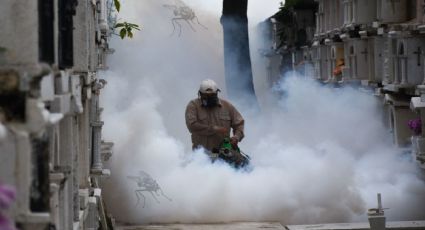 Veracruz es el tercer estado con mayor casos de dengue; ya hay muertes