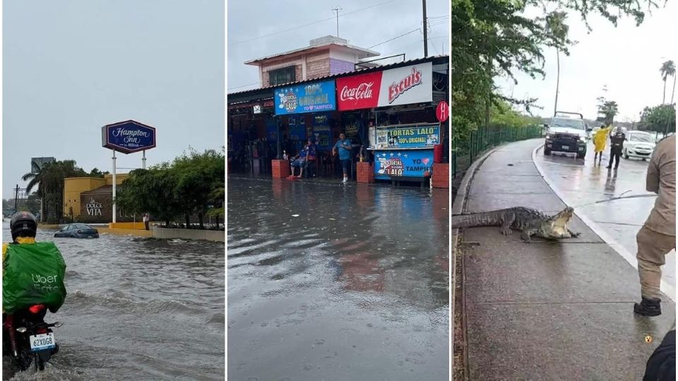 Cierran principal Paseo turístico de Tamaulipas por daños del ciclón “Alberto”