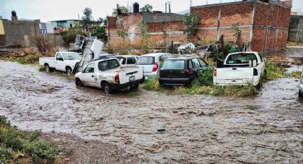 Así estarán las lluvias este 25 de junio en los 46 municipios de Guanajuato