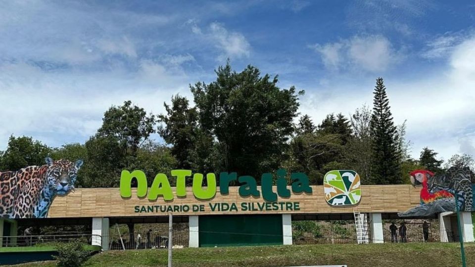Naturalia, el santuario de vida silvestre en Xalapa que se unirá con el Museo Kaná