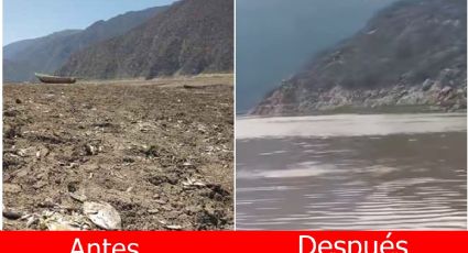 Lluvias comienzan a llenar la laguna de Metztitlán que estaba seca desde 2023; así se ve