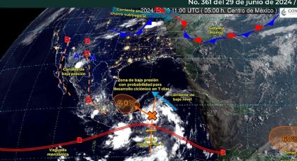 Tormenta Beryl se convierte en huracán: Estos estados se verán afectados