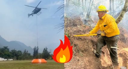 17 Incendios forestales arrasan bosques y pastizales en Veracruz; así van