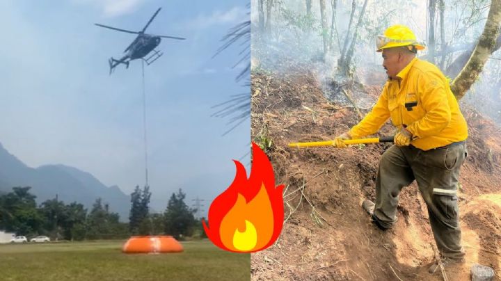 17 Incendios forestales arrasan bosques y pastizales en Veracruz; así van
