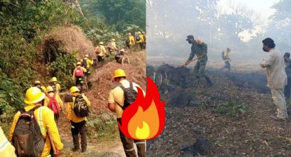 Aumentan incendios forestales en Veracruz: PC confirma 23 activos