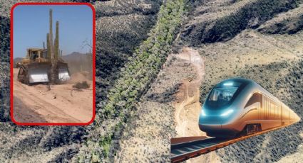 "Tren Maya" de Sonora: el ecocidio que se ha politizado