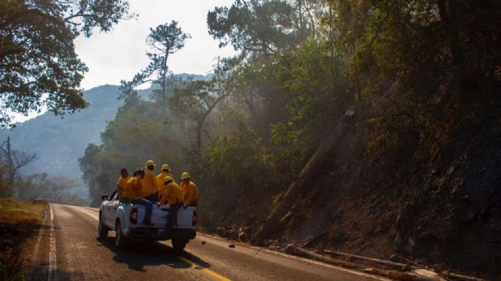 Incendios forestales se reactivan y amenazan con destrucción en estos estados