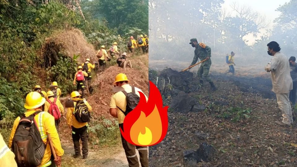 Aumentan incendios forestales en Veracruz PC confirma 23 activos